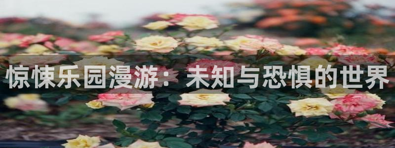 妖精漫画网韩漫：惊悚乐园漫游：未知与恐惧的世界