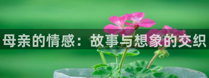 小混混韩漫画下拉式