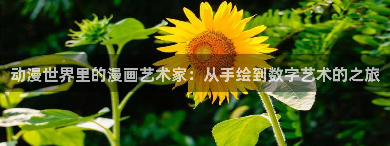 成人韩漫画免费观看