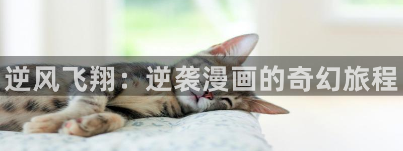韩漫画免费：逆风飞翔：逆袭漫画的奇幻旅程