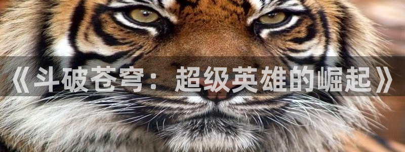 韩漫魔咒免费漫未删减版：《斗破苍穹：超级英雄的崛起》