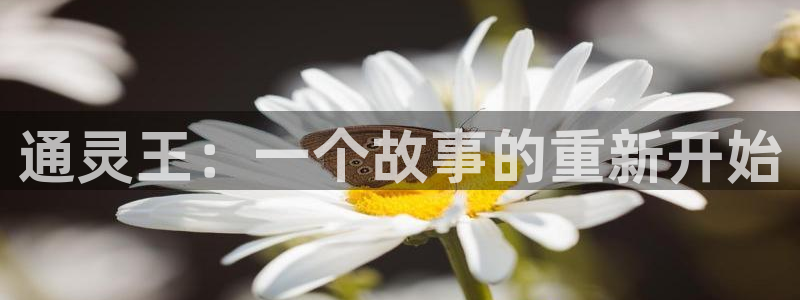 韩漫画软件大全