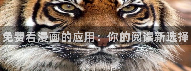 蛙漫韩漫