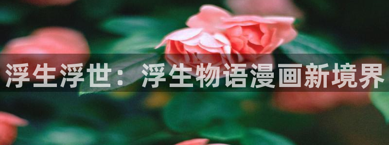 壁咚漫画韩漫