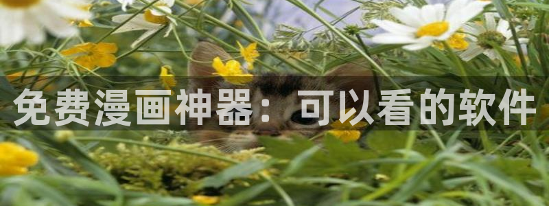 里番韩漫在线观看