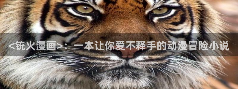 大尺度韩漫网站：<铳火漫画>：一本让你爱不释手的动漫冒险小说