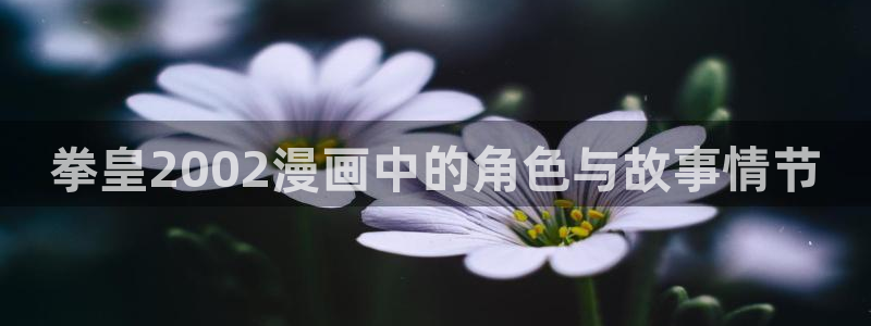 可以看韩漫的漫画软件有哪些：拳皇2002漫画中的角色与故事情节