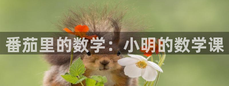 歪歪韩漫被到爽流漫画秋蝉：番茄里的数学：小明的数学课