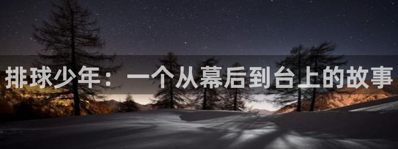 toptoon韩漫官网：排球少年：一个从幕后到台上的故事