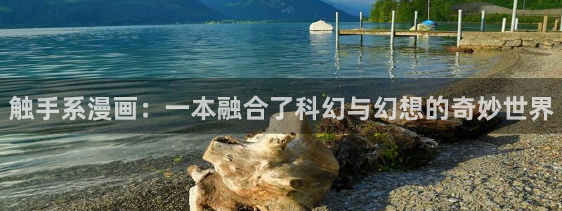 韩韩漫网站：触手系漫画：一本融合了科幻与幻想的奇妙世界