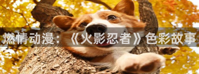 漫画羞羞韩漫：燃情动漫：《火影忍者》色彩故事
