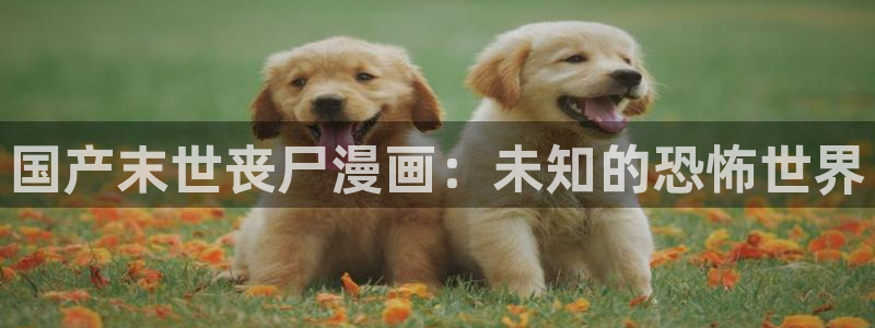 韩漫歪歪漫画在线看：国产末世丧尸漫画：未知的恐怖世界