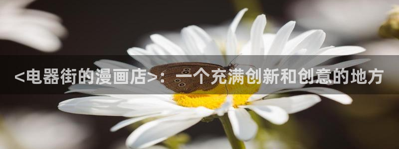 韩漫网站成人www：<电器街的漫画店>：一个充满创新和创意的地方