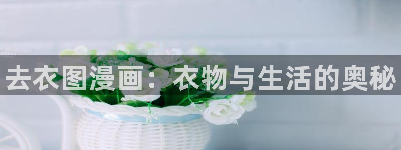 韩漫免费漫画页面在线看漫画：去衣图漫画：衣物与生活的奥秘