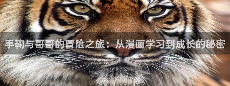 邻家少女漫画韩漫：手鞠与哥哥的冒险之旅：从漫画学习到成长的秘密