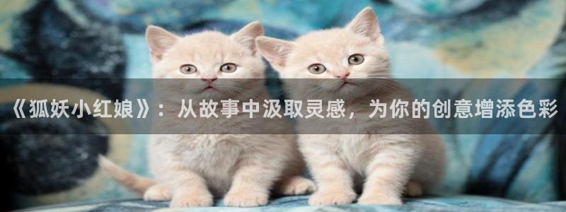 冲突免费漫画韩漫：《狐妖小红娘》：从故事中汲取灵感，为你的创意增添色彩