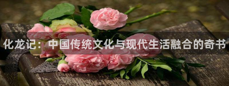 看韩漫的漫画：化龙记：中国传统文化与现代生活融合的奇书