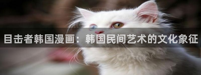 哈哈漫画韩漫免费网站登录：目击者韩国漫画：韩国民间艺术的文化象征
