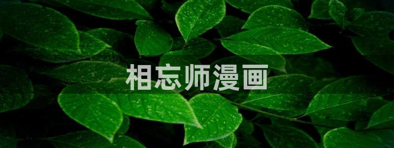 韩漫画下拉：相忘师漫画