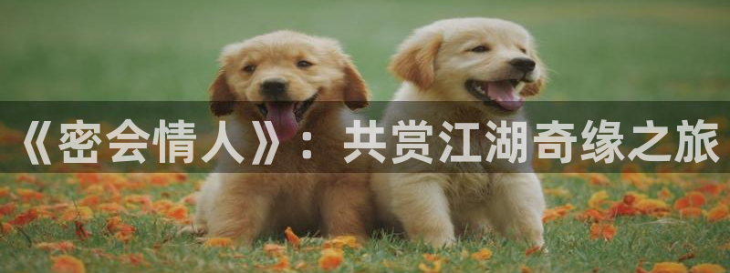 好看的韩国漫画韩漫免费阅读漫画妖精漫画：《密会情人》：共赏江湖奇缘之旅